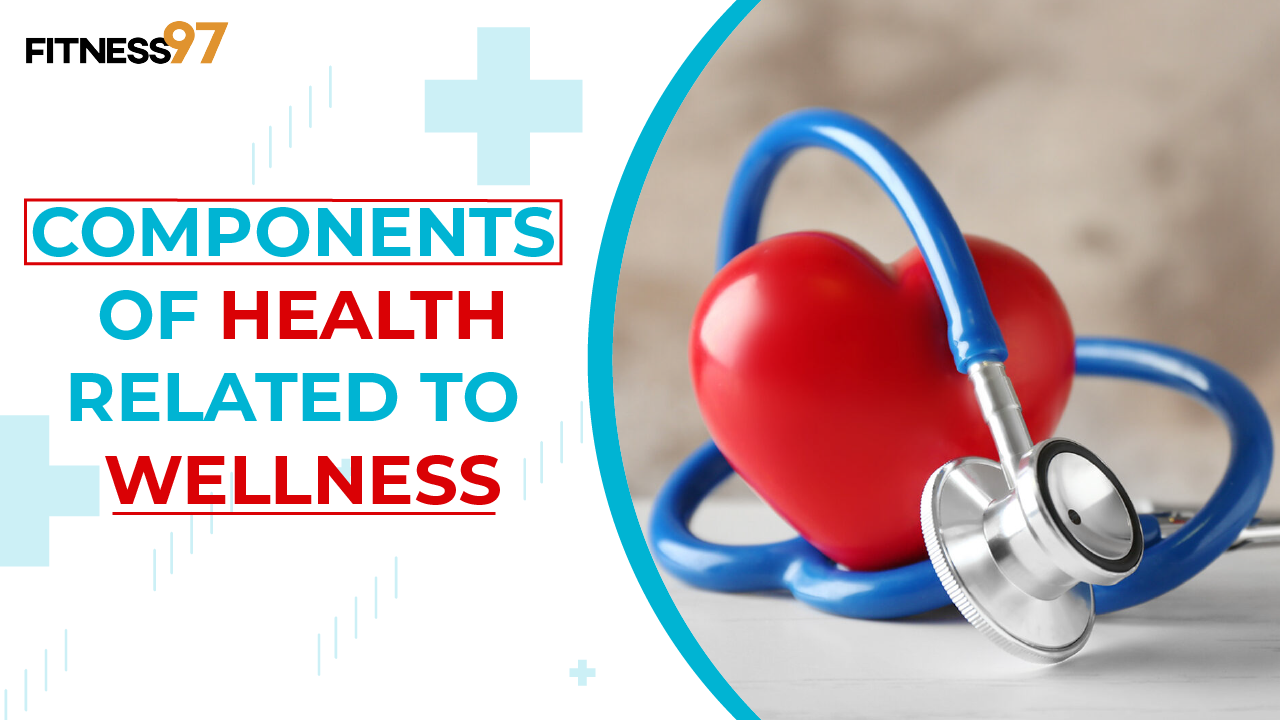 The Interconnected Components of Health: A Holistic Approach to Wellness