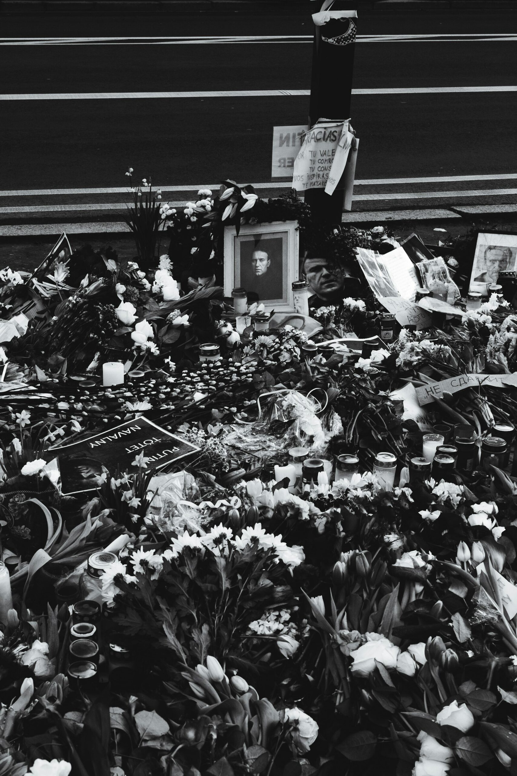 Reshaping Europe: The Transformative Impact of the Black Death