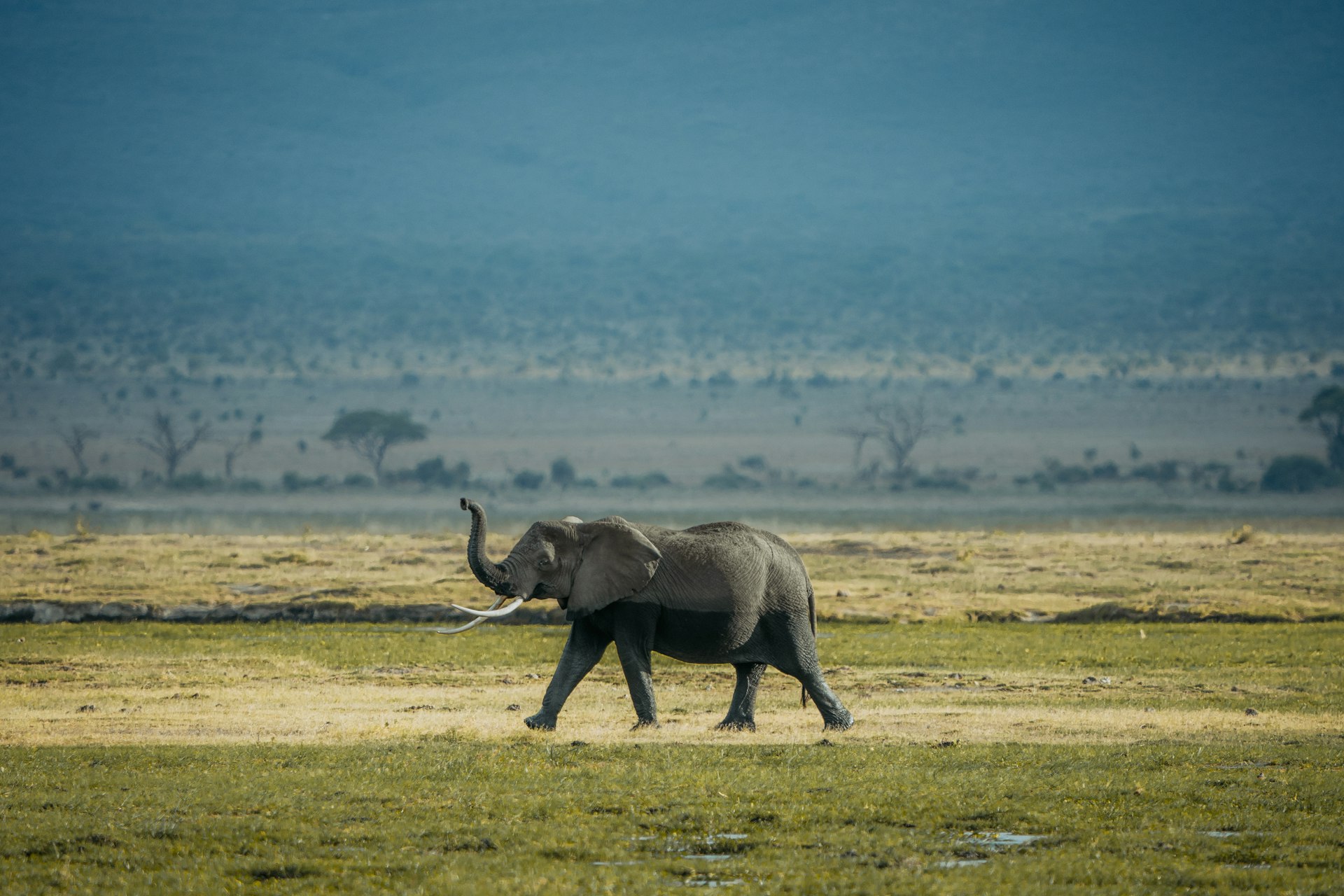 Understanding Conservation in Science: Principles, Practice, and Impact